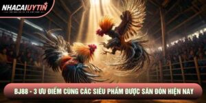 Bj88 - 3 Ưu Điểm Cùng Các Siêu Phẩm Được Săn Đón Hiện Nay