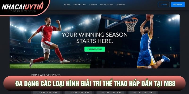 Đa dạng các loại hình giải trí thể thao hấp dẫn tại M88
