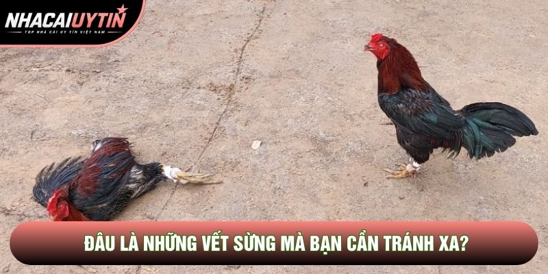 Đâu là những vết sừng mà bạn cần tránh xa? Đâu là những vết sừng mà bạn cần tránh xa?
