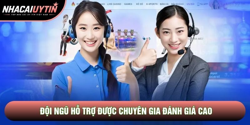 Đội ngũ hỗ trợ được chuyên gia đánh giá cao