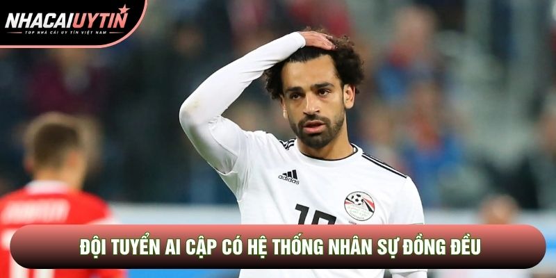 Đội tuyển Ai Cập có hệ thống nhân sự đồng đều