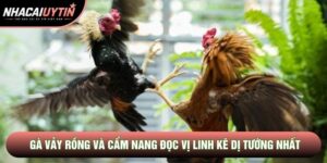 Gà Vảy Rồng Và Cẩm Nang Đọc Vị Linh Kê Dị Tướng Nhất