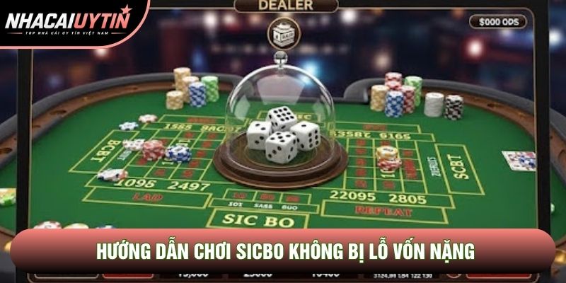 Hướng dẫn chơi sicbo không bị lỗ vốn nặng Hướng dẫn chơi sicbo không bị lỗ vốn nặng