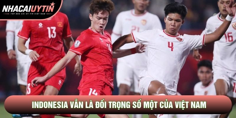 Indonesia vẫn là đối trọng số một của Việt Nam