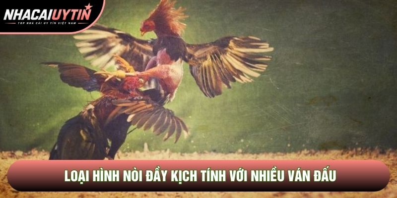 Loại hình nòi đầy kịch tính với nhiều ván đấu Loại hình nòi đầy kịch tính với nhiều ván đấu