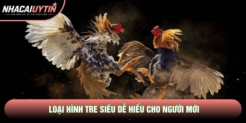 Loại hình tre siêu dễ hiểu cho người mới Loại hình tre siêu dễ hiểu cho người mới