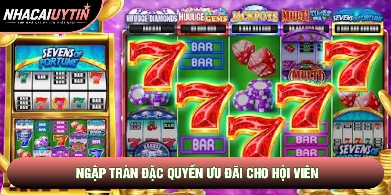 Ngập tràn đặc quyền ưu đãi cho hội viên