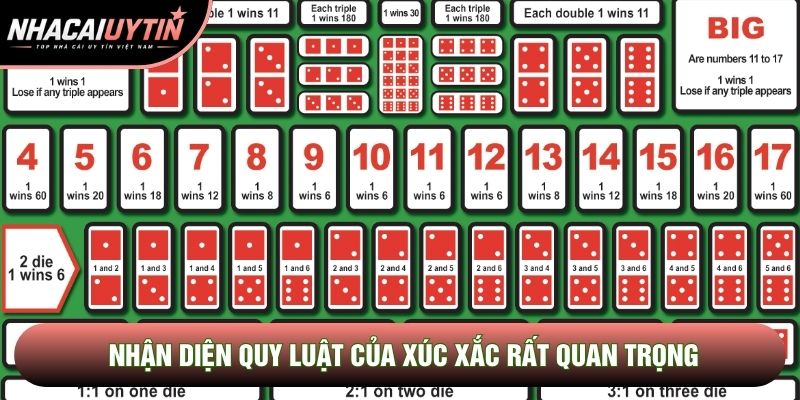 Nhận diện quy luật của xúc xắc rất quan trọng Nhận diện quy luật của xúc xắc rất quan trọng