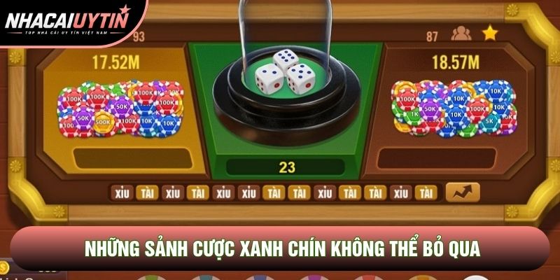 Những sảnh cược xanh chín không thể bỏ qua