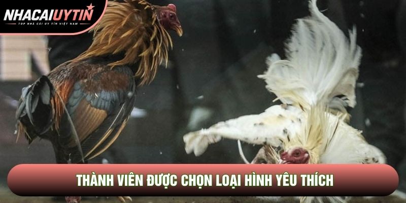 Thành viên được chọn loại hình yêu thích Thành viên được chọn loại hình yêu thích