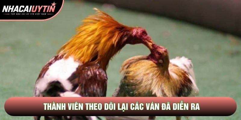Thành viên theo dõi lại các ván đã diễn ra