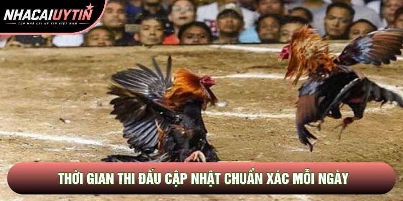 Thời gian thi đấu cập nhật chuẩn xác mỗi ngày Thời gian thi đấu cập nhật chuẩn xác mỗi ngày